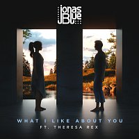 Jonas Blue, Theresa Rex – What I Like About You