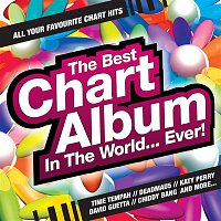 Přední strana obalu CD The Best Chart Album in the World... Ever!
