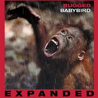 Babybird – Bugged (Expanded)