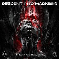 Přední strana obalu CD Descent Into Madness