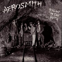 Aerosmith – Night In The Ruts CD