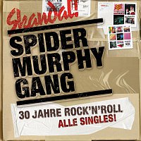 Spider Murphy Gang – 30 Jahre Rock'n'Roll