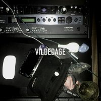 Artigeardit – VILDEDAGE