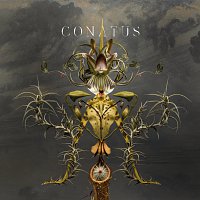 Joep Beving – Conatus