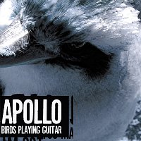 Apollo – Birds Playing Guitar