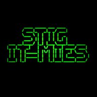 Stig – IT-mies