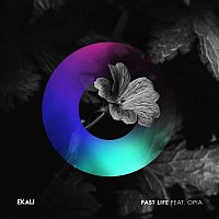 Ekali – Past Life (feat. Opia)