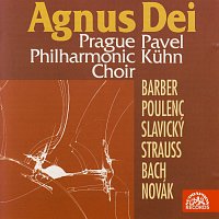 Přední strana obalu CD Agnus Dei / Barber, Poulenc, Slavický, Novák, Strauss, Bach