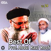 Prof. Abdul Rauf Roofi – Best Of Prof. Abdul Rauf Roofi, Vol. 24