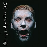 Přední strana obalu CD Sehnsucht [Anniversary Edition - Remastered]