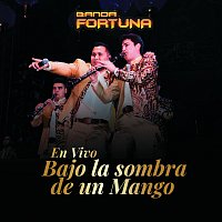 Banda Fortuna – Bajo La Sombra De Un Mango [En Vivo]