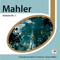 Mahler: Sinfonie Nr.1