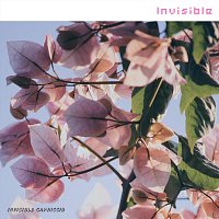 Invisible Capriccio – Invisible