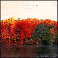 David Wenngren – While We Wait