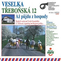 Veselka, Třeboňská 12 – Až půjdu z hospody