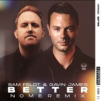 Sam Feldt & Gavin James – Better (NOME. Extended Remix)