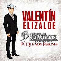 Valentín Elizalde, Banda Los Sebastianes De Saúl Plata – Pa' Qué Son Pasiones