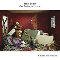 Sonic Youth – The Destroyed Room