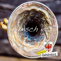 Blaskapelle Gehorsturz – Spinnsch iatz?