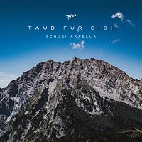 Schubi AKpella – Taub fur dich