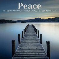 Různí interpreti – Peace: Peaceful and Calm Instrumentals to Help You Relax