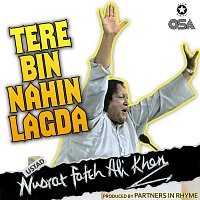 Nusrat Fateh Ali Khan, Partners In Rhyme – Tere Bin Nahin Lagda