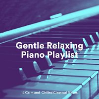 Chris Snelling, Max Arnald, Yann Nyman, Andrew O'Hara, Qualen Fitzgerald – Gentle Relaxing Piano Playlist: 12 Calm and Chilled Classical Pieces