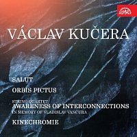 Různí interpreti – Václav Kučera - umělecký portrét MP3