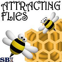 Beez & Honey – Attracting Flies