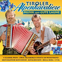 Přední strana obalu CD Musik und gute Laune