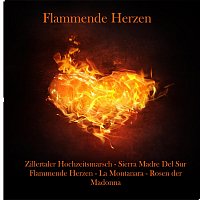 Různí interpreti – Flammende Herzen