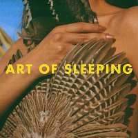 Art Of Sleeping – Voodoo