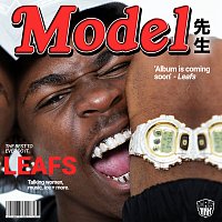 Leafs – Model