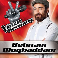 Behnam Moghaddam – Hurt [From The Voice Of Germany]