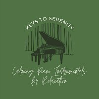 Bodhi Holloway, Juniper Hanson, Thomas Benjamin Cooper, Charlie Fabien, Eliza Fynn – Keys to Serenity: Calming Piano Instrumentals for Relaxation