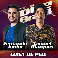 Coisa De Pele [Ao Vivo No Rio De Janeiro / 2019]