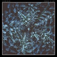 Přední strana obalu CD Frozen in Time