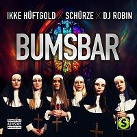Ikke Huftgold, Schurze, DJ Robin – Bumsbar