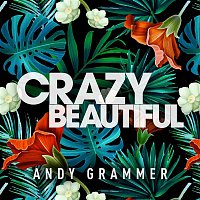 Andy Grammer – Crazy Beautiful EP