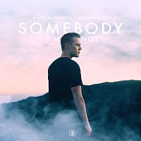 Martin Jensen, Bjornskov – Somebody I'm Not