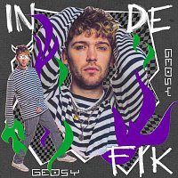 geosy – In De Fik