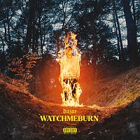 watchmeburn