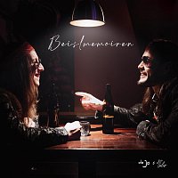 Přední strana obalu CD Beislmemoiren