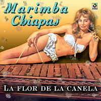 Marimba Chiapas – La Flor De La Canela