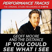 If You Could See What I See [Performance Tracks]