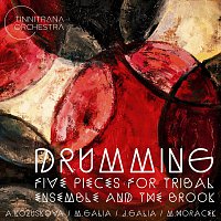 Drumming Five Pieces for Tribal Ensemble and the Brook