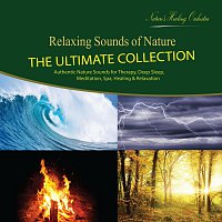 Nature's Healing Orchestra – Relaxing Sounds of Nature - The Ultimate Collection (Authentic Nature Sounds for Therapy, Deep Sleep, Meditation, Spa, Healing & Relaxation)