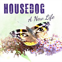 Housedog – A New Life