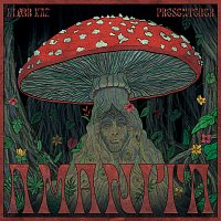 Ka2 – Forsvinner