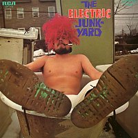 The Electric Junkyard – The Electric Junkyard